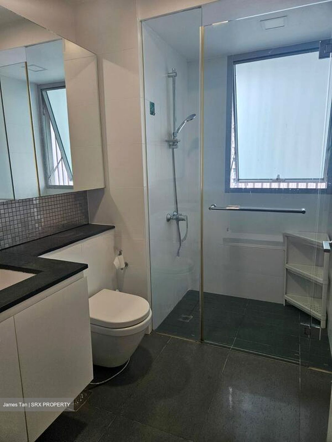 The Minton (D19), Condominium #495675651